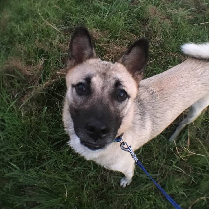 D4c151e0 94cf 42c5 927c 907e15a5ed4f