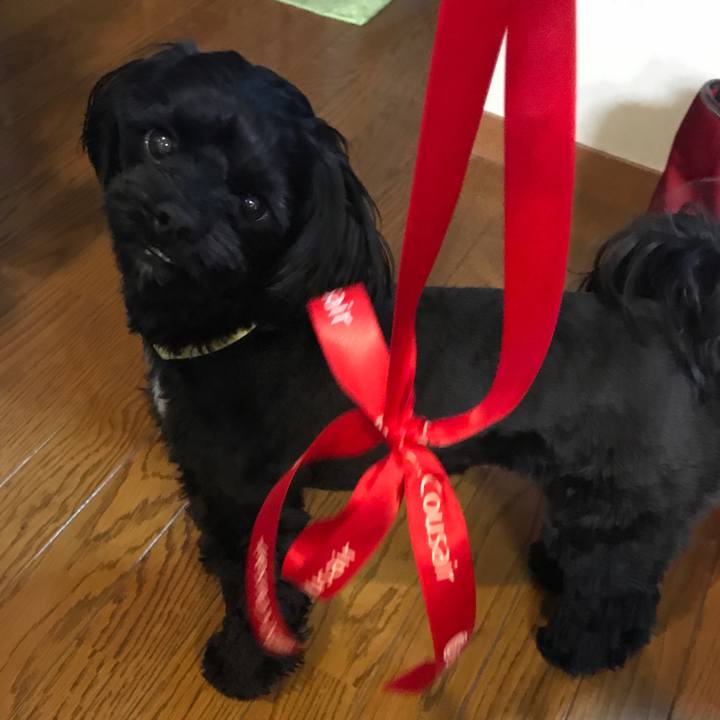 D4c1629e 817c 4428 b3a2 781134e9d558