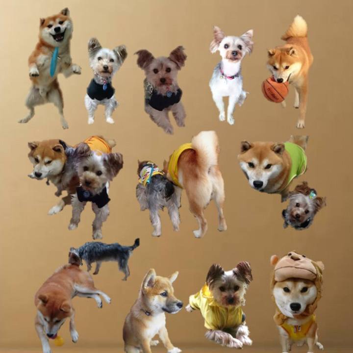 D4c18016 080e 41c2 a44b da54b99c889f