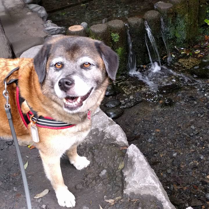 D4c1e8ad 72a1 4733 b03a 845206fd5365