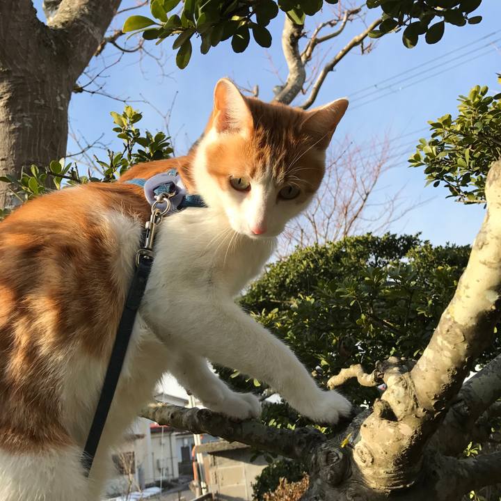 D4c331e7 cedb 43af 8748 97003dd5c6bf