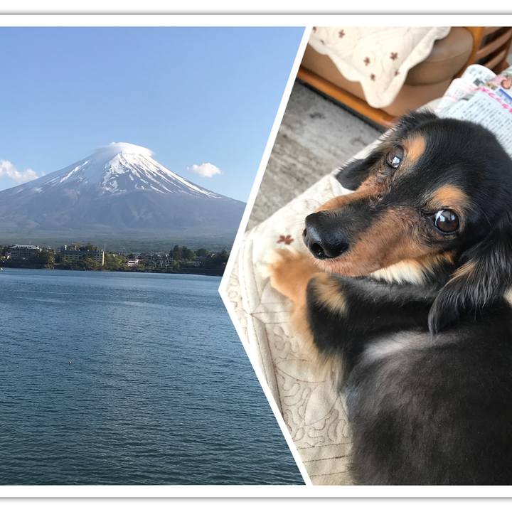 D4c3674b 52f7 4ea9 a095 36d3e5ece335