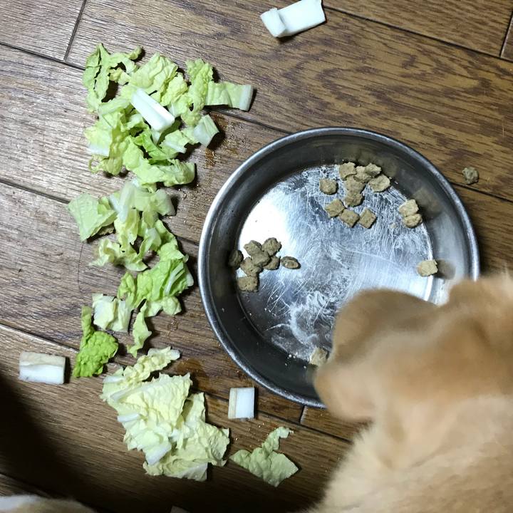 D4c3d4fe 7c65 4cfc aa16 09e557a7339f