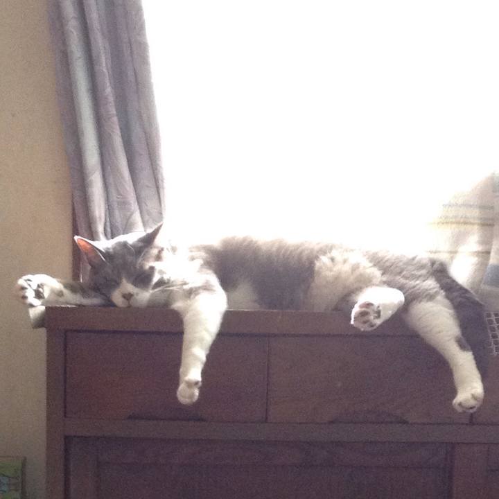 D4c3e2db dbc6 422d 8b73 9145a8951a8c