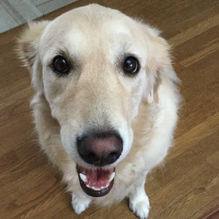 D4c48e79 2e96 41fa 9e1a 05b071ee8df3