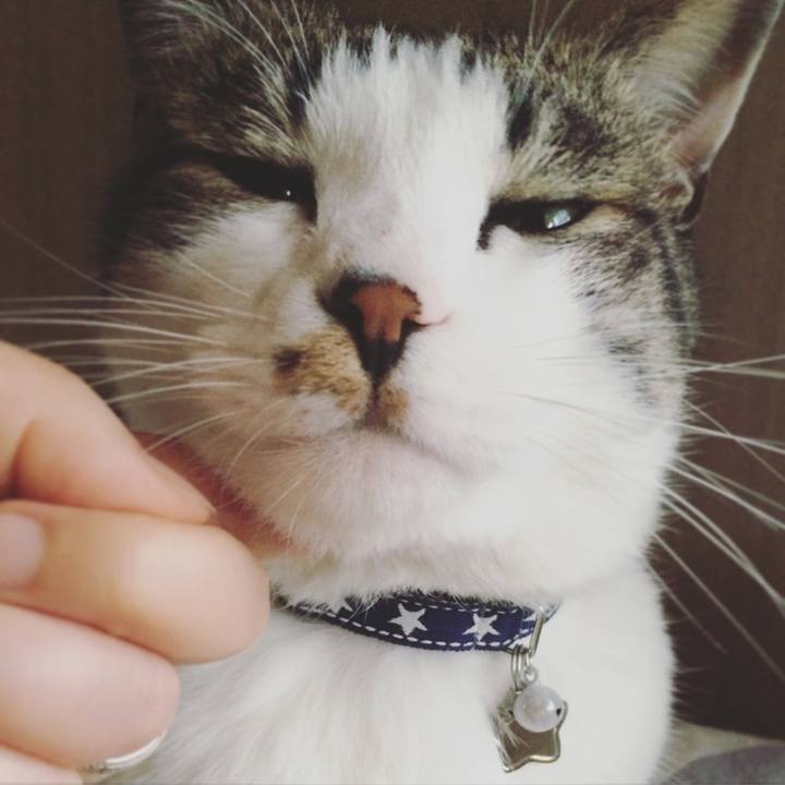 D4c5286a b384 4943 973e 89b31375ebc6