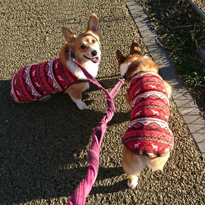 D4c55ded a0d7 4a6b a6aa d41b20a1e7ad