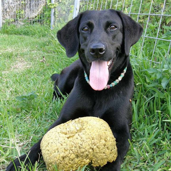 D4c581d3 1697 4a22 8138 615bd2114a82