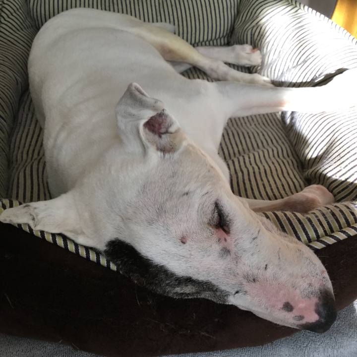 D4c5fe70 7a6a 49d4 a74f 8b446f5c0d03