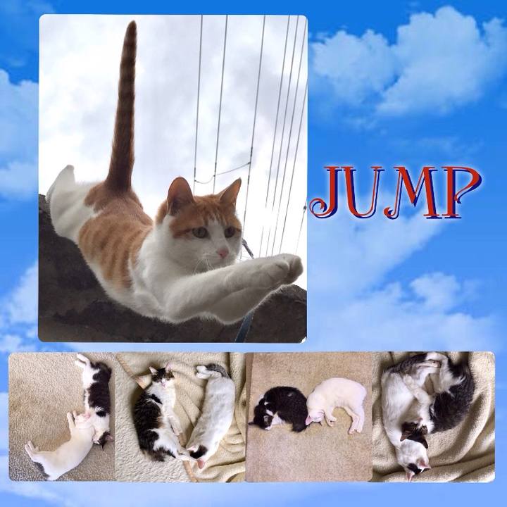 D4c709f6 5b14 4f04 a38c 70d014e245fa