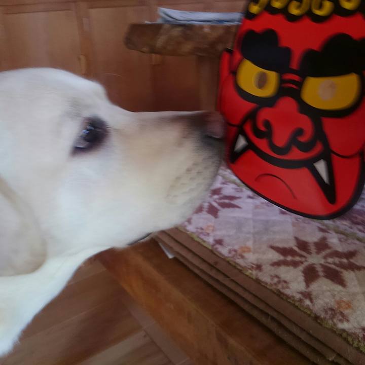 D4c756d3 820a 4cf6 8fd4 2379dac9ed3e