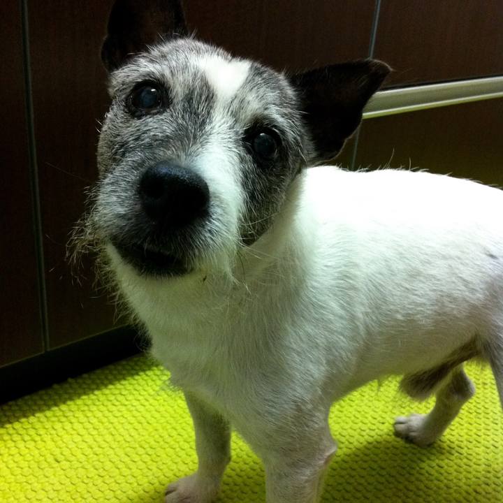 D4c7634a c100 4393 a1e8 e7024b709a48