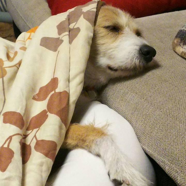 D4c7683a fd12 4dc4 ba67 4a88ee006d1b