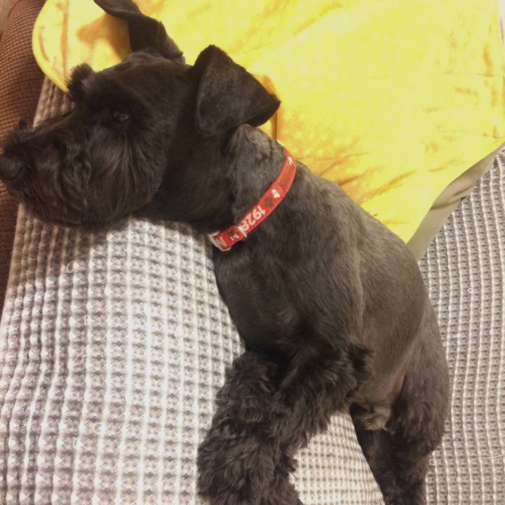 D4c775e6 5e14 43c8 a86f 1449adfe9f01