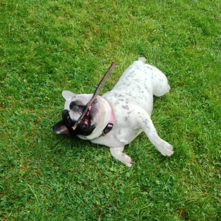 D4c7c0e0 a490 4729 a0e6 e900b9c04315