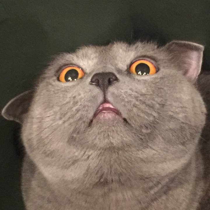 D4c8826c 4d34 42ab b1bc f7c421fac2dd