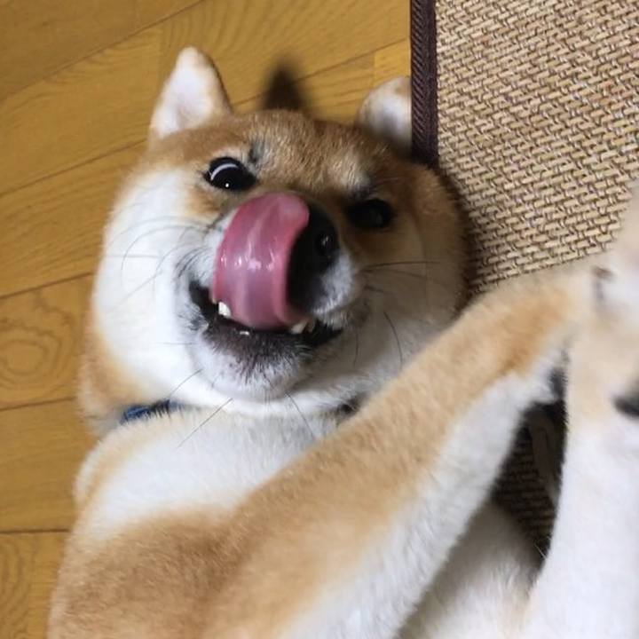 D4c8affc 98d5 4984 b221 49adb28d0f5a