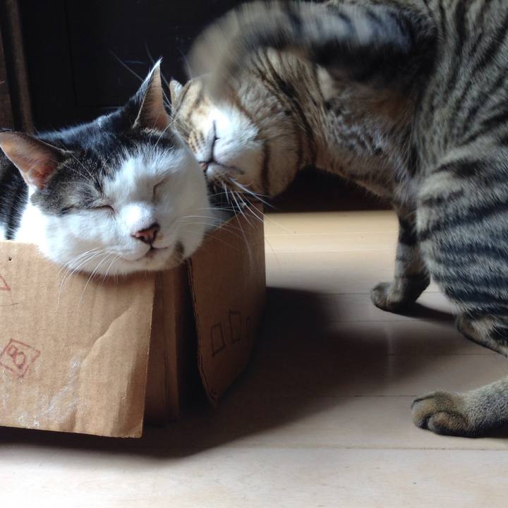 D4c97c84 1345 4a8f ba55 f3ca10b90b83