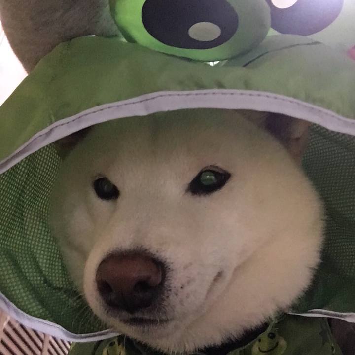 D4ca1b6a ac91 445d bcd3 c31c632bbc6c