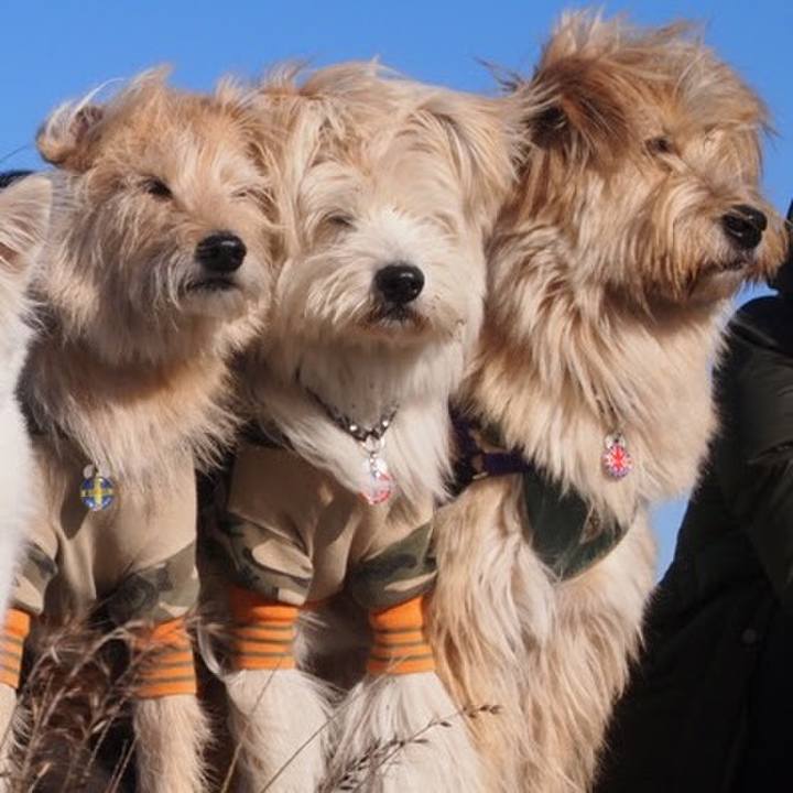 D4caf042 1ff4 4c1d a87d 0fb586958ddb