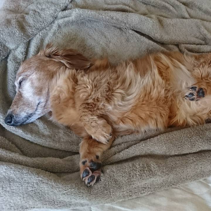 D4caf554 4aae 4048 b959 1d4e9438cbad