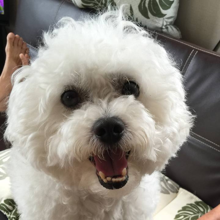 D4cc7115 30e0 47f7 89e1 8ff0a218e231