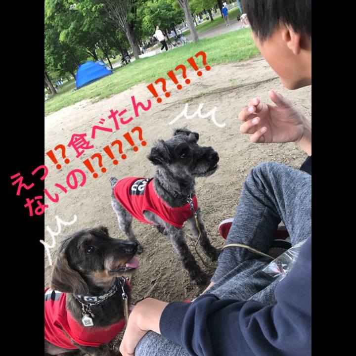 D4cce93c a1fb 4ecb 806a 5b19e10940b8