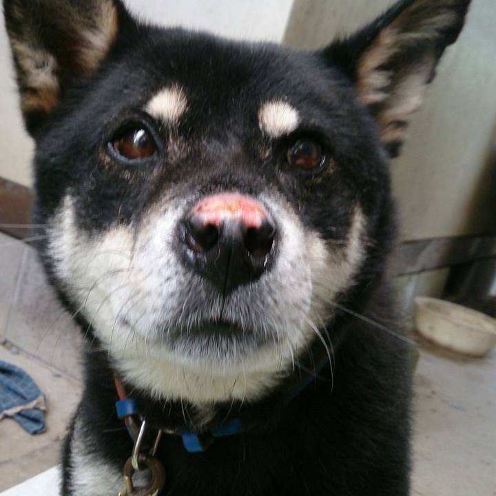 D4cdd5ea fb13 4e18 adc3 480d4324a2ef