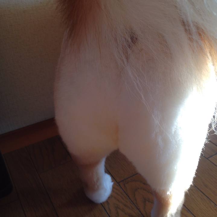 D4cde1d3 ba59 44ef bf08 5db4936532cf