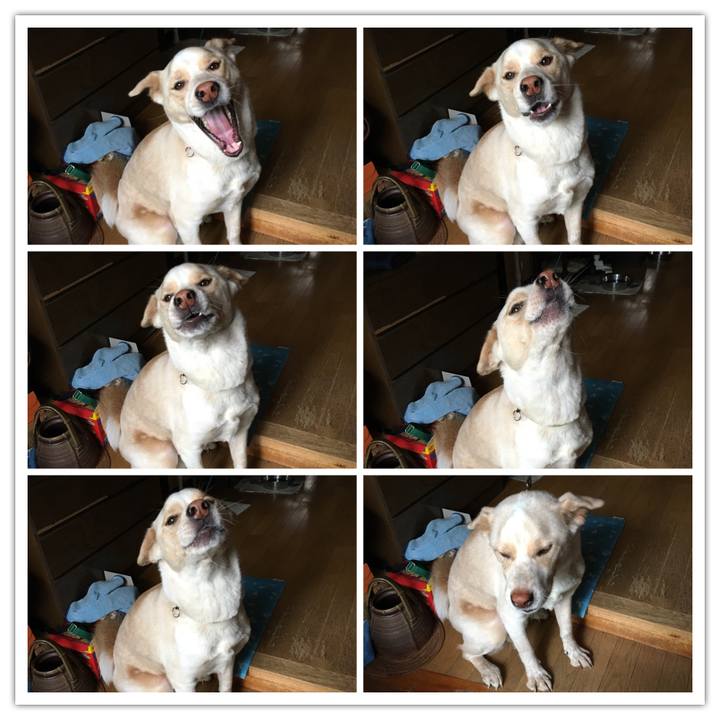 D4ce4dde 1034 43d6 a57f 57ea281cad04