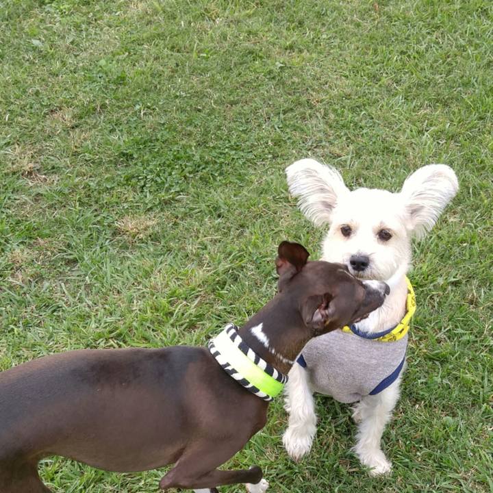 D4ce6c63 e462 4f3d 993e b83c0880188c