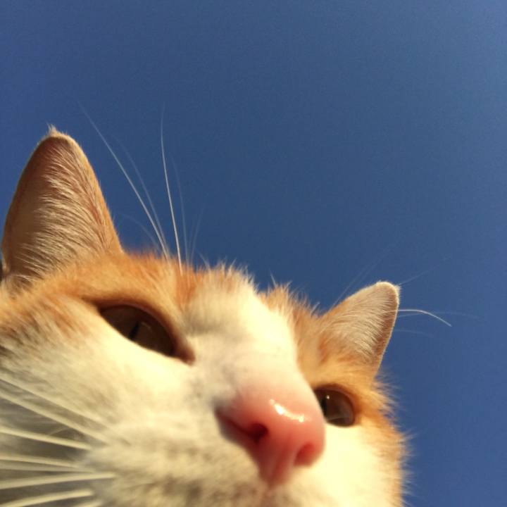 D4cea895 2cdb 4700 86cd bb057d32fb3b