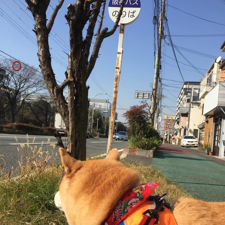 D4cee617 99a6 4f87 bd3d 31b341e68ba1