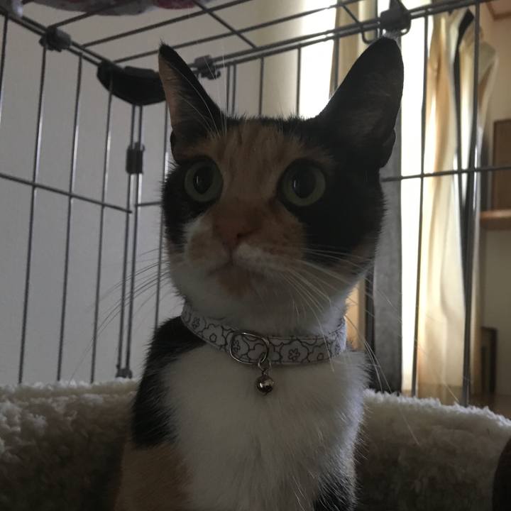 D4cf47c3 e27b 4bfa a79f 16bd17bfaf2a