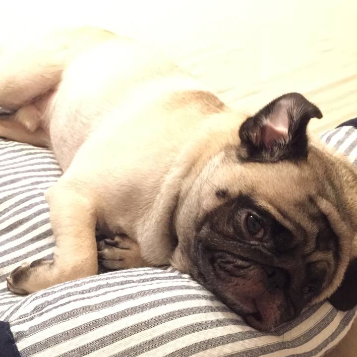 D4cf6d55 0750 4772 8aa6 7c1c89eb2ee4