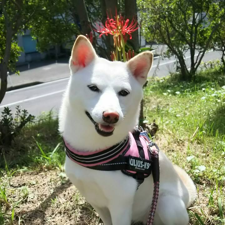 D4cf7d02 8a93 495b 989f 529554520589