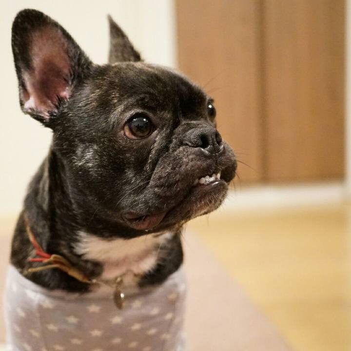 D4cfd1c9 d711 4376 9dd7 dc6f6f8b1d9d