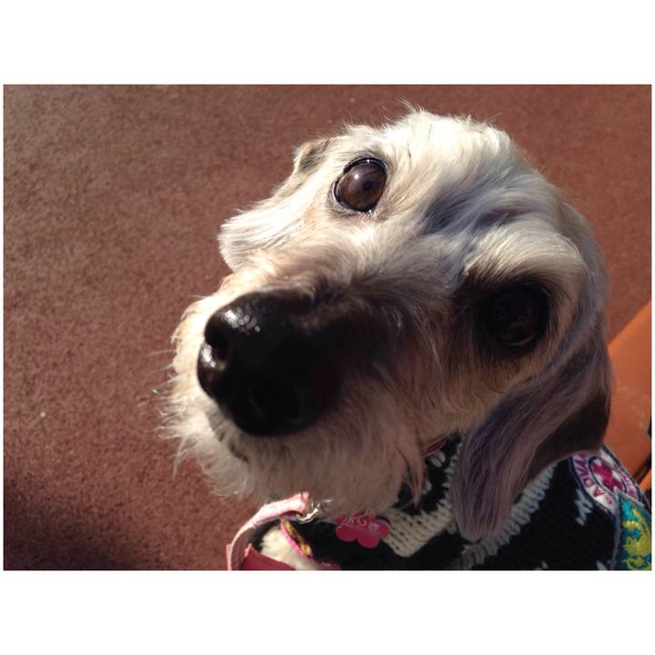 D4d03c2c 8f7f 4074 93e2 8692d20dfcdc