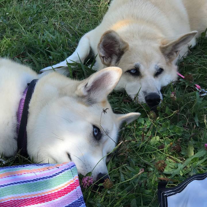 D4d07633 d4ff 42c3 a41b 241f6eb13e05