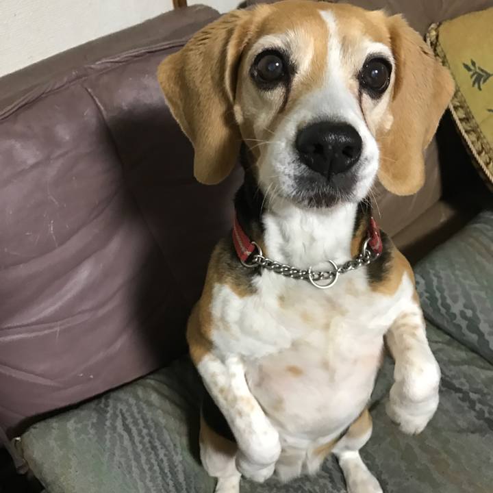 D4d14587 d41a 43ec 836e cd1306b30c6f