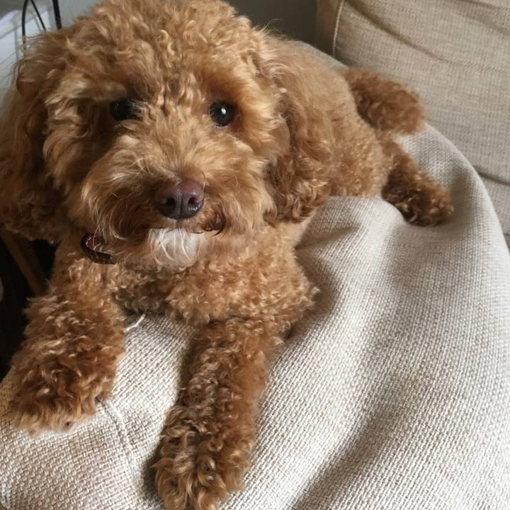 D4d16c19 c1e2 48ad b0a8 399f8e11819f