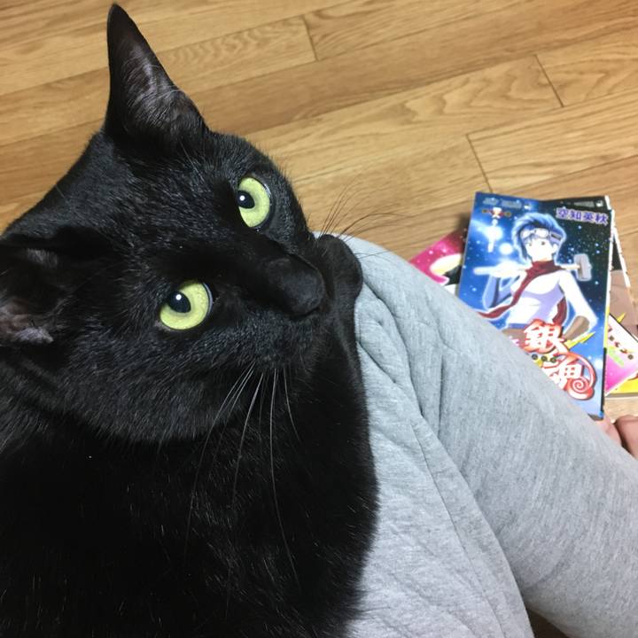 D4d1ec84 42d0 49c4 a327 e2d941baf6c2