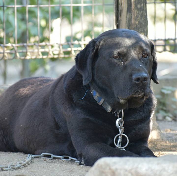 D4d1ee60 7a5c 4f84 949c feee87e7a093