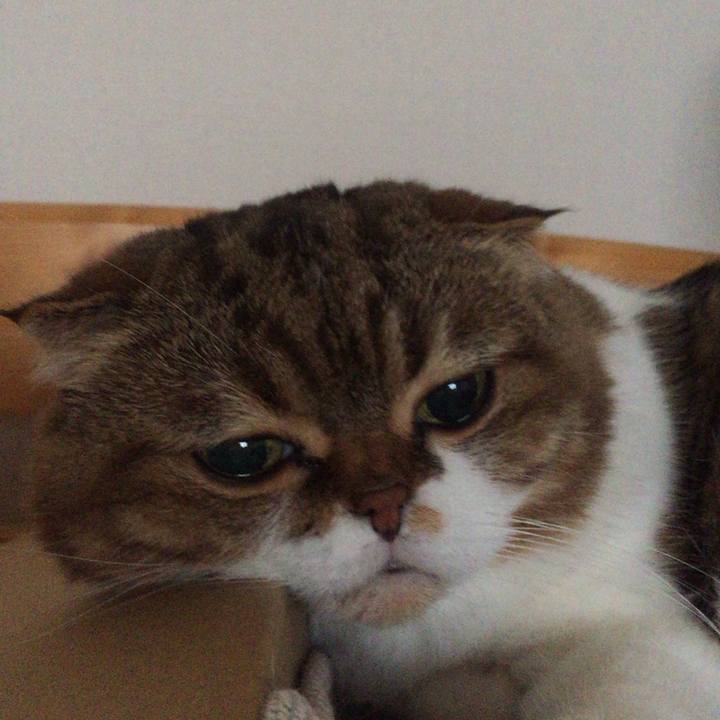 D4d1f59b dd10 4b6d a7c6 8530072df5e2