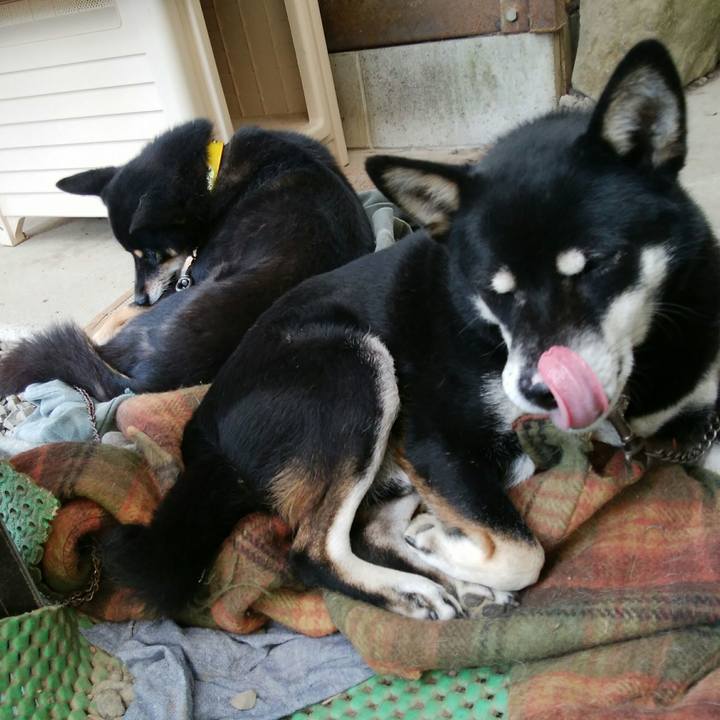 D4d1fc54 ee79 4c50 afe8 08f66099f465