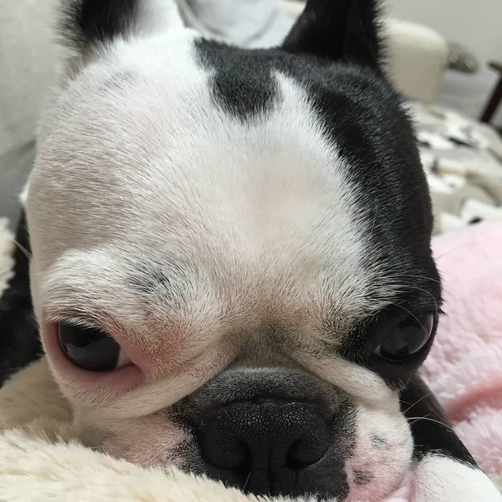 D4d225be 13b7 4e01 9147 417e28a97d5c