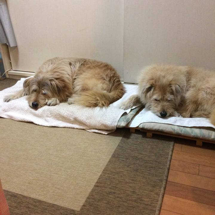 D4d27423 c0b8 4c1b aa84 338c98c10604