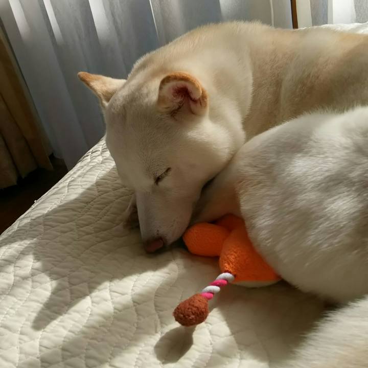 D4d28b1a 76ca 4d0f 99b5 00dddec35e93