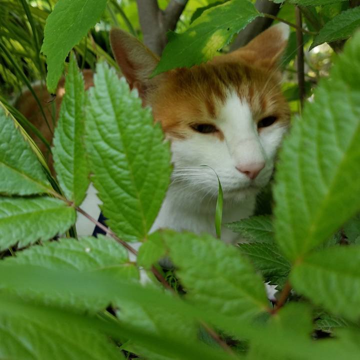 D4d34b4b 2e1c 4b30 af36 6ca9d2838dde