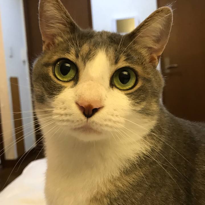 D4d37f1d 39a8 4f16 9e7f 860de56563e5